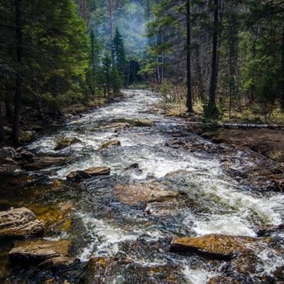 澳门正版资料大全下载手机版